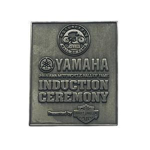 2015 #AMAHOF Pin