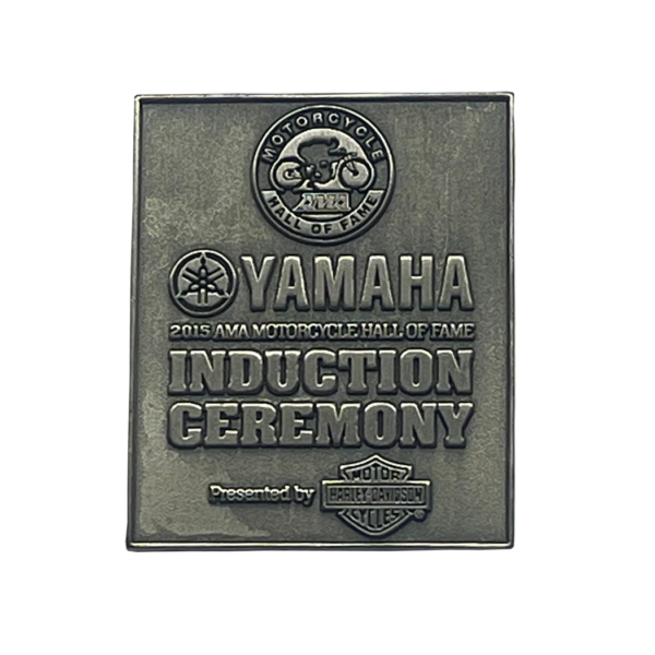 2015 #AMAHOF Pin