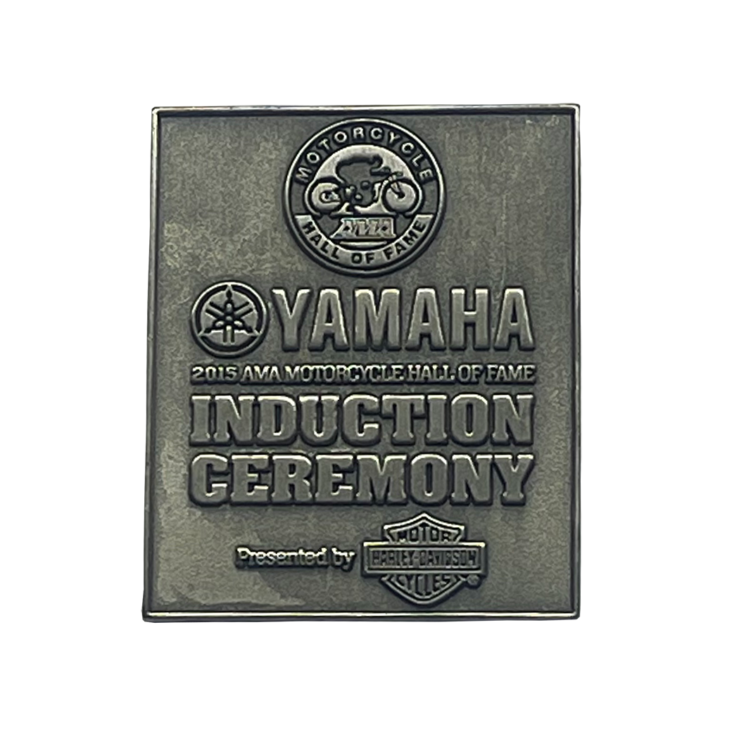 2015 #AMAHOF Pin